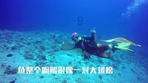 轩辕剑外传云之遥