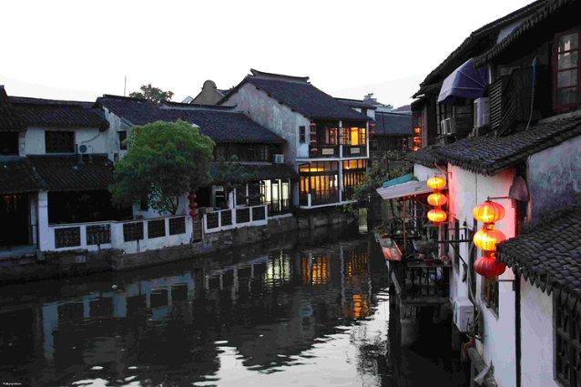 营救小乌龟